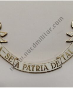 Legendas para Crachá Paraquedistas 1